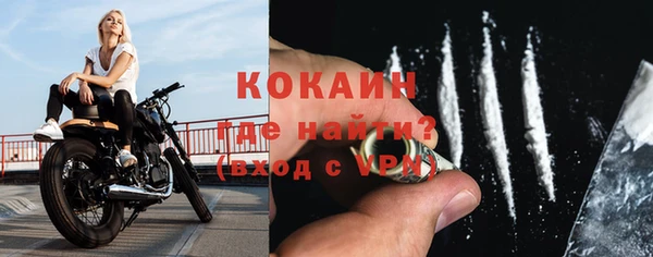 индика Армянск