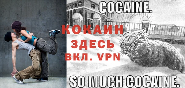 мет Пестово
