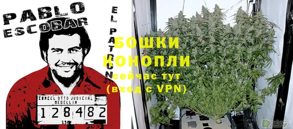 амф Аркадак