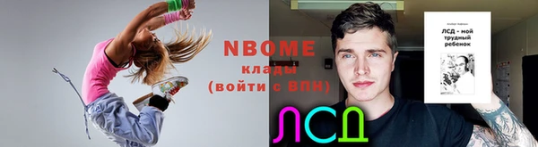 индика Армянск