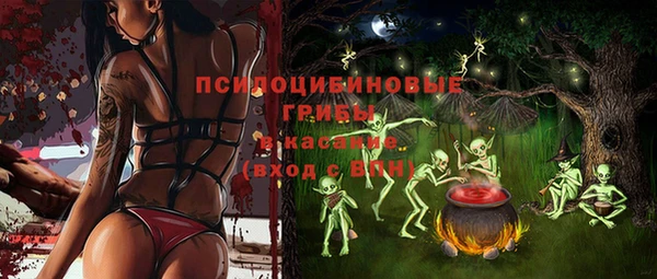 амф Аркадак