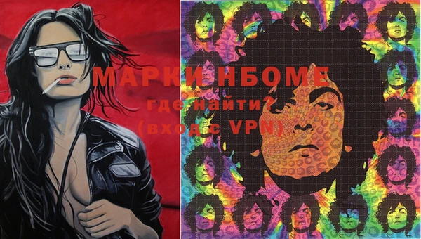 индика Армянск