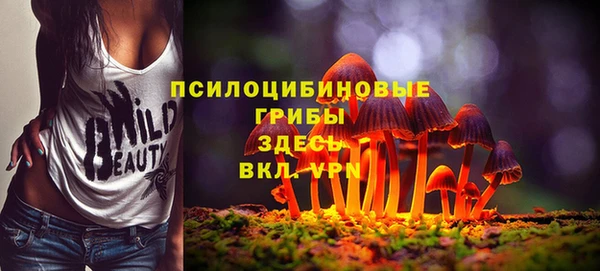 индика Армянск